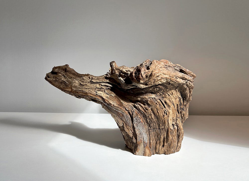 Architecture of Scent | Wood Symphony